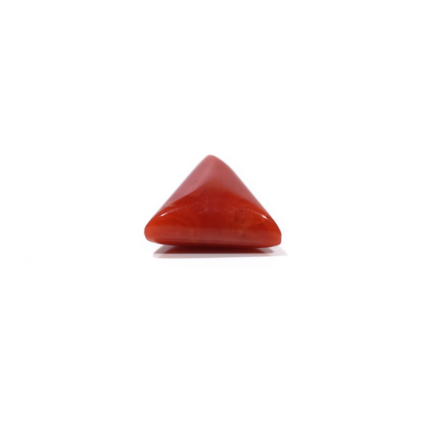 Red Coral - 4.8 Carat