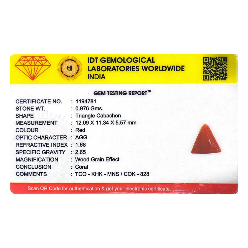 Red Coral - 4.88 Carat