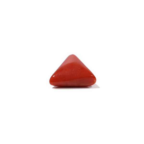 Red Coral - 4.8 Carat
