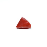 Red Coral - 4.92 Carat