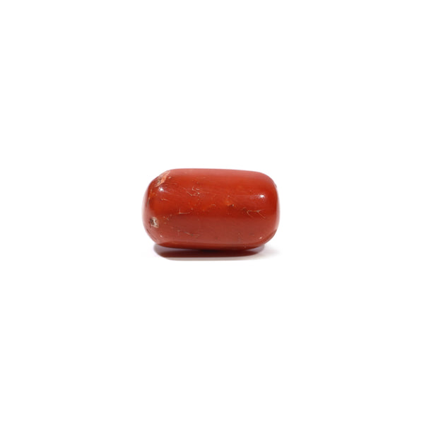 Red Coral - 6.65 Carat - Pramogh