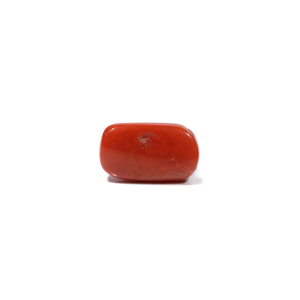 Red Coral - 6.65 Carat