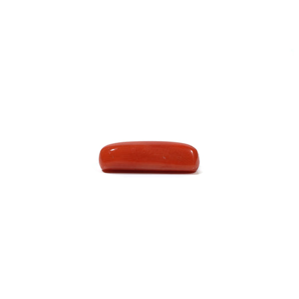Red Coral - 5.45 Carat