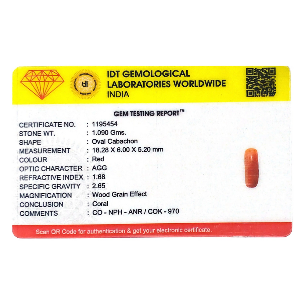 Red Coral - 5.45 Carat