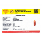 Red Coral - 5.45 Carat