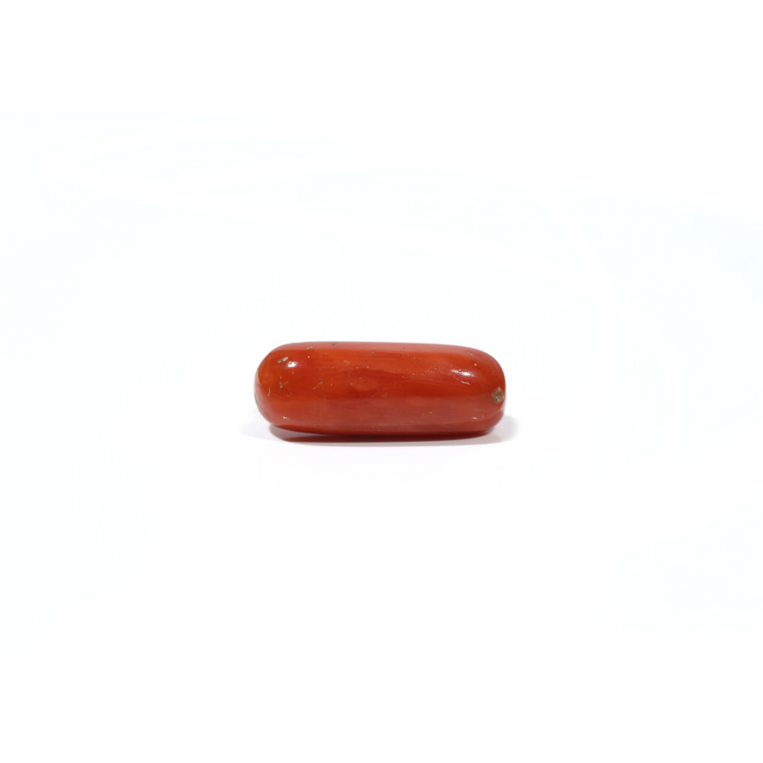 Red Coral - 5.75 Carat - Pramogh