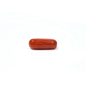 Red Coral - 5.75 Carat - Pramogh