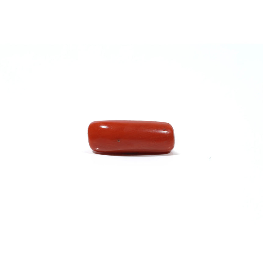 Red Coral - 6.15 Carat - Pramogh