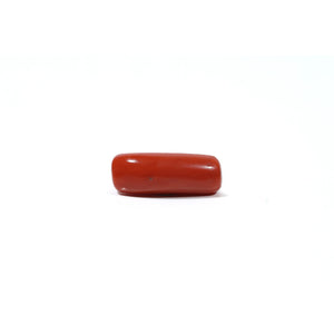 Red Coral - 6.15 Carat - Pramogh