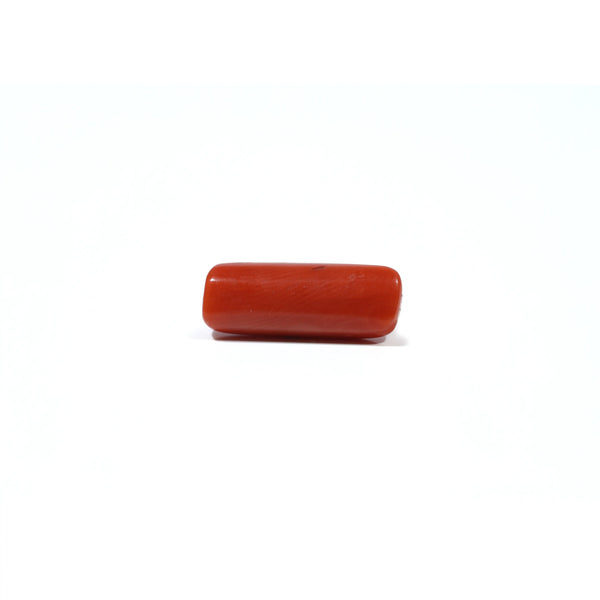 Red Coral - 6.15 Carat