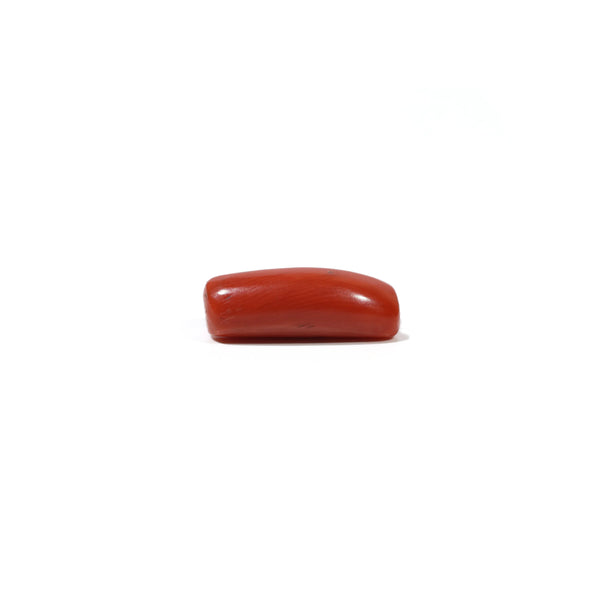 Red Coral - 6.15 Carat
