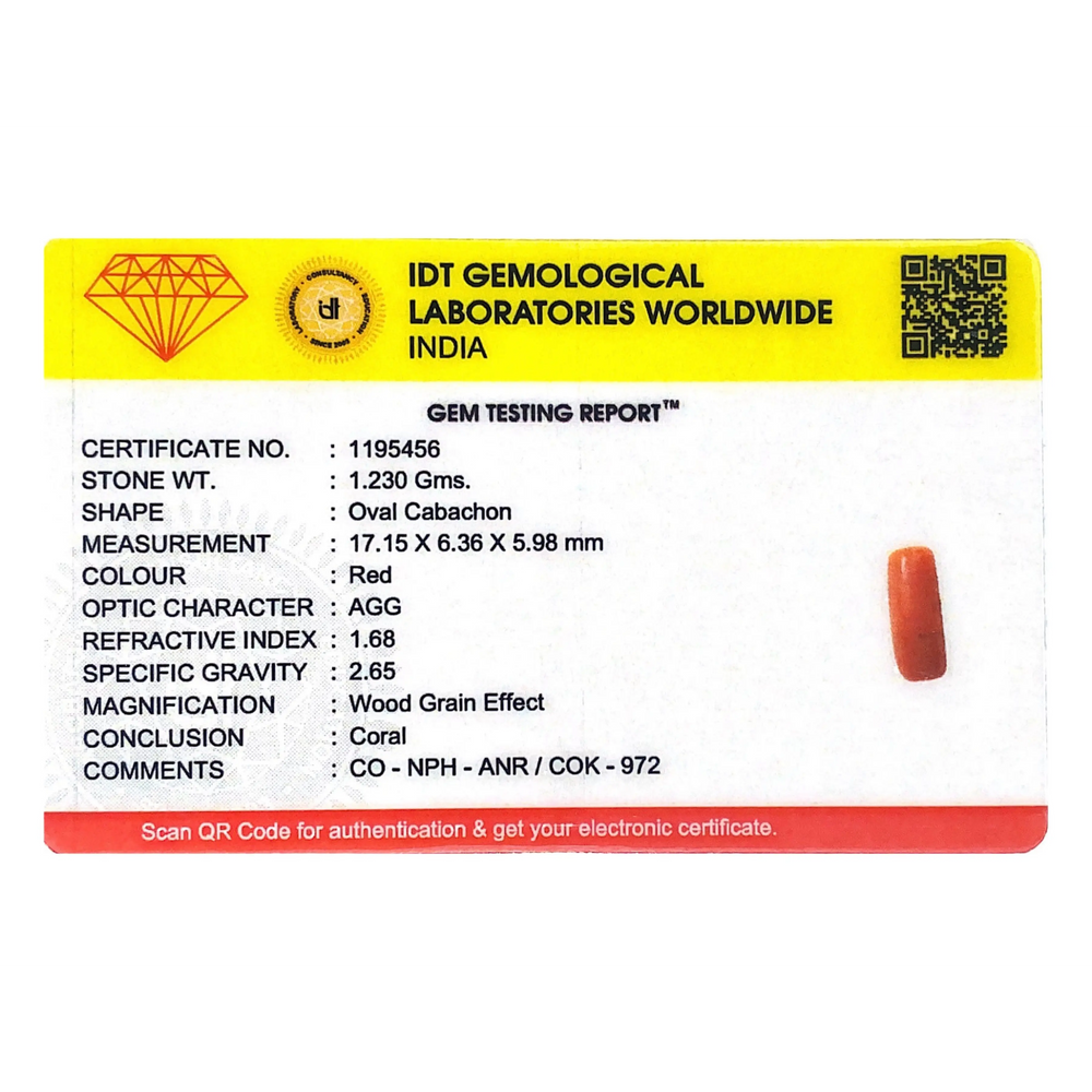 Red Coral - 6.15 Carat