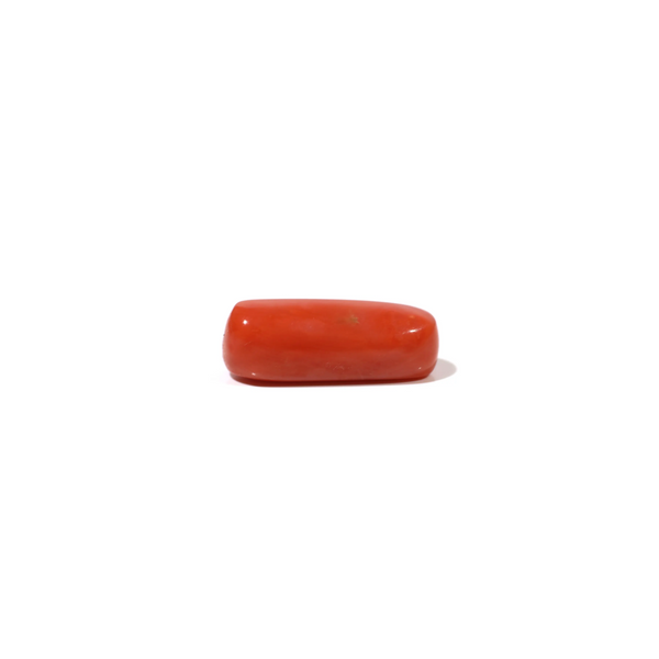 Red Coral - 6.7 Carat