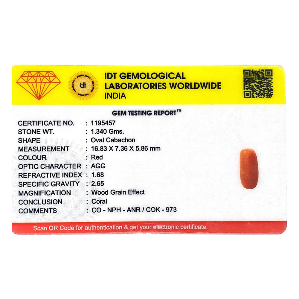 Red Coral - 6.7 Carat