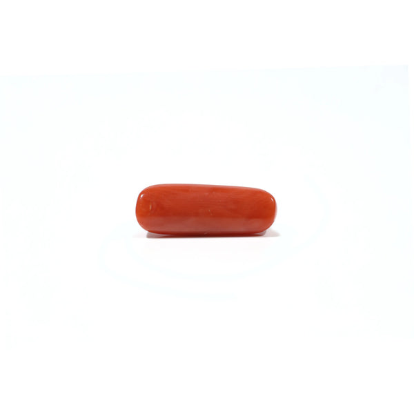 Red Coral - 6 Carat
