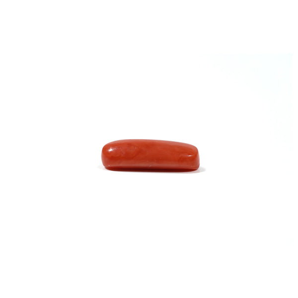Red Coral - 6 Carat