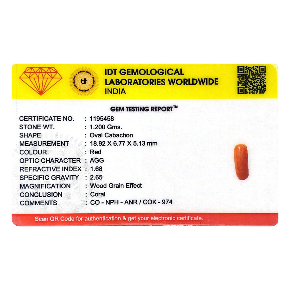 Red Coral - 6 Carat