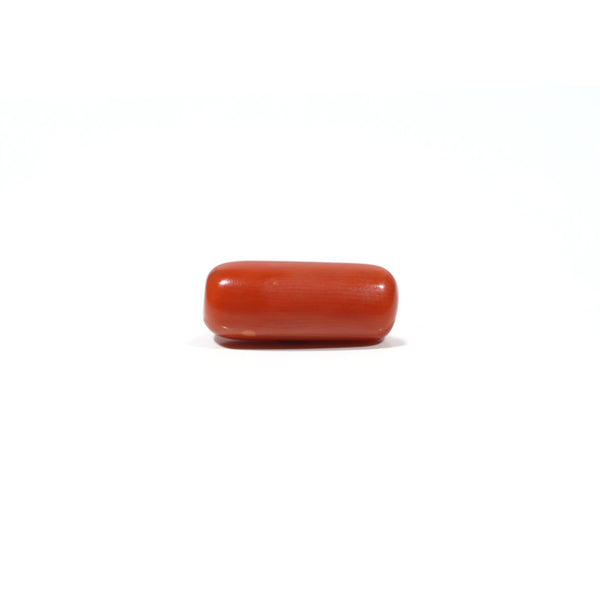 Red Coral - 7.4 Carat - Pramogh