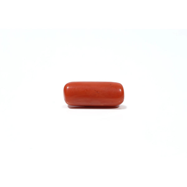 Red Coral - 7.4 Carat