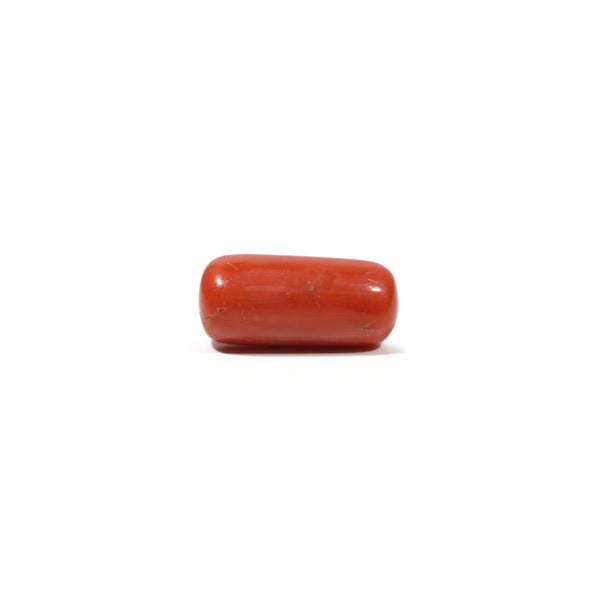 Red Coral - 7.4 Carat - Pramogh