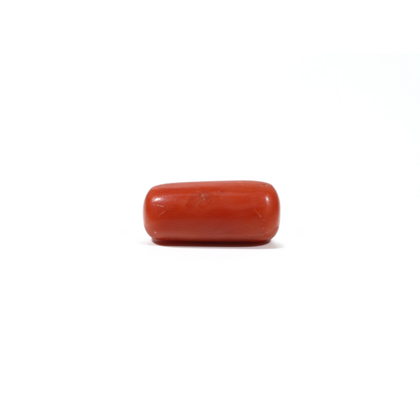 Red Coral - 7.4 Carat