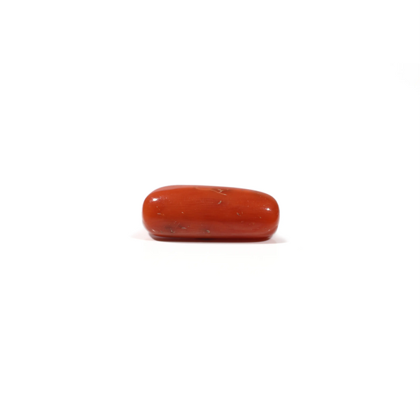 Red Coral - 5.85 Carat - Pramogh