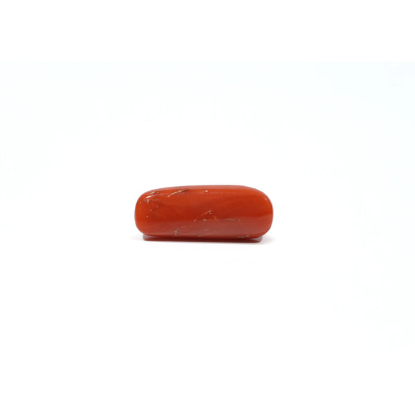 Red Coral - 5.85 Carat