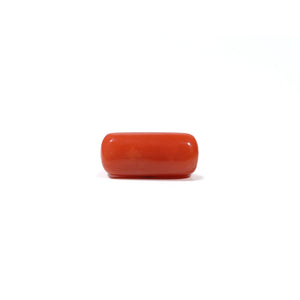 Red Coral - 5.6 Carat - Pramogh