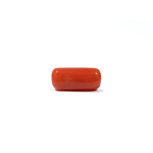Red Coral - 5.6 Carat - Pramogh