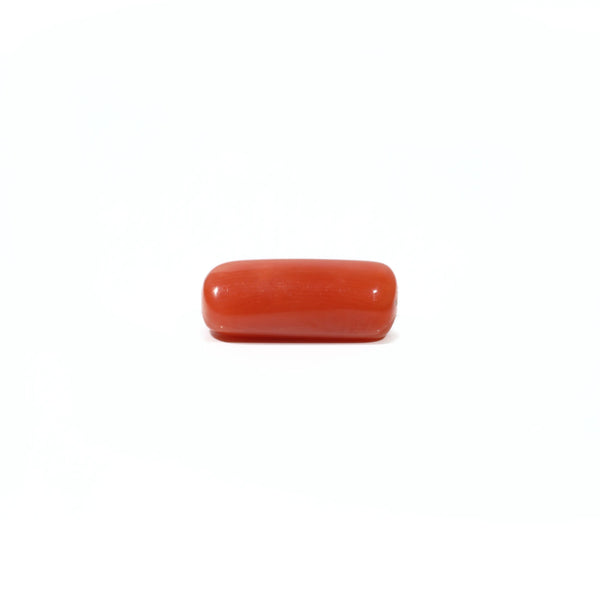 Red Coral - 5.6 Carat