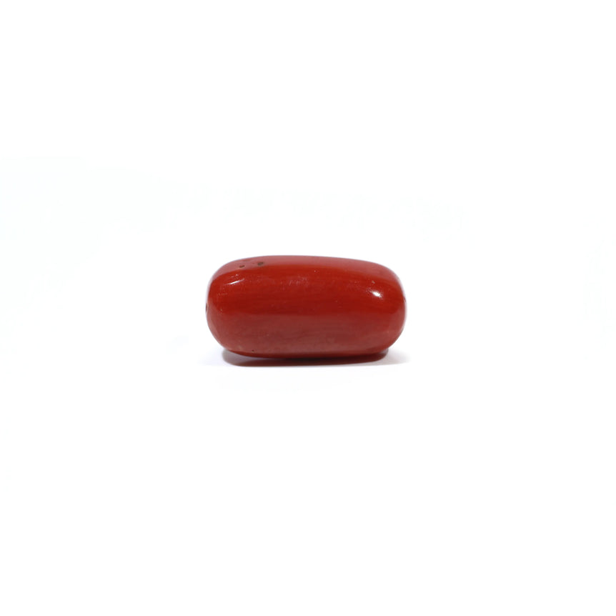 Red Coral - 5.15 Carat - Pramogh
