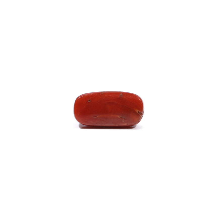 Red Coral - 5.15 Carat