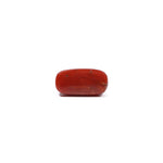 Red Coral - 5.15 Carat