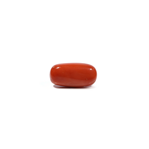 Red Coral - 5.55 Carat - Pramogh