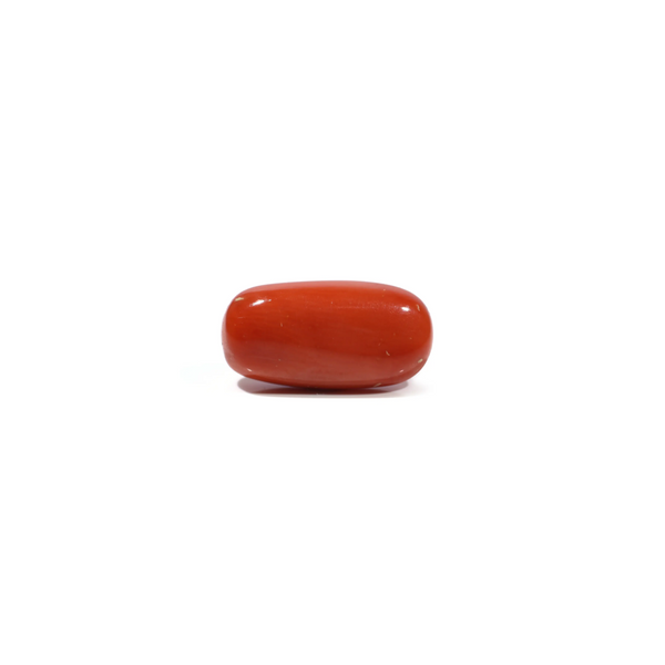 Red Coral - 5.55 Carat - Pramogh