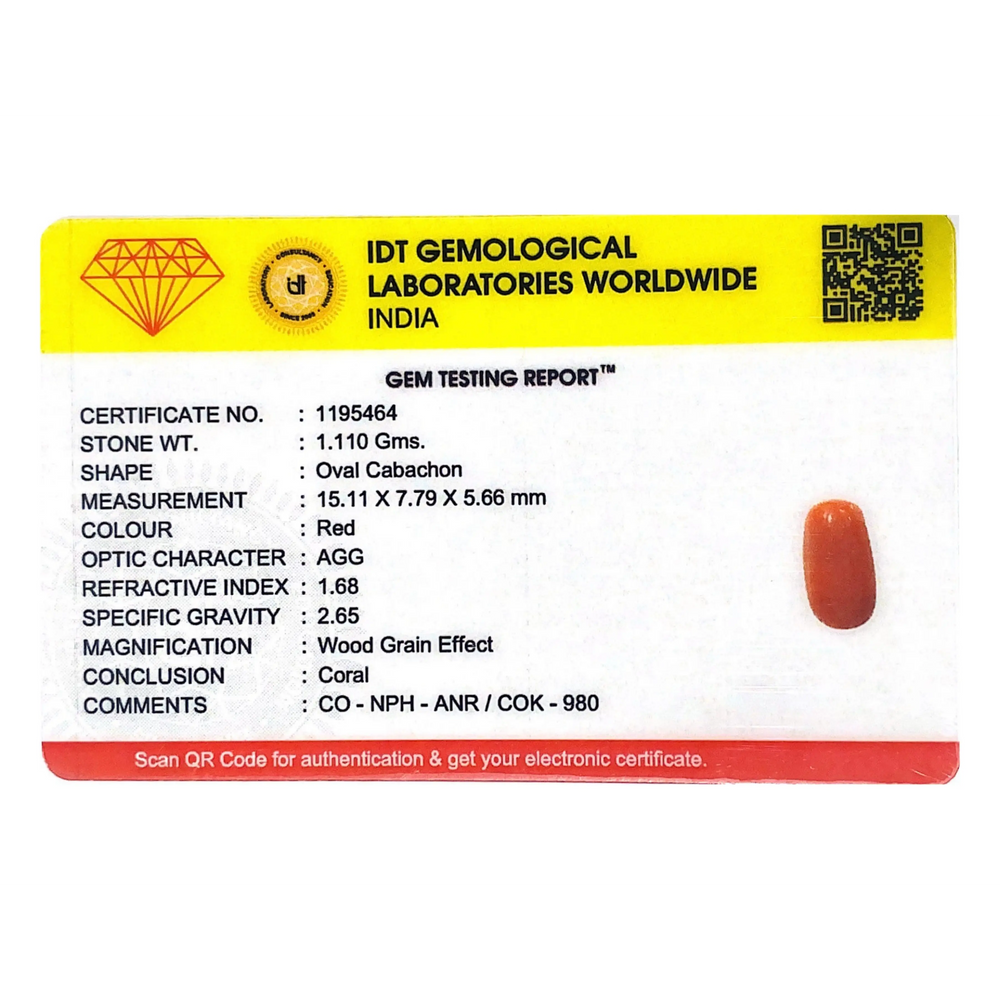 Red Coral - 5.55 Carat