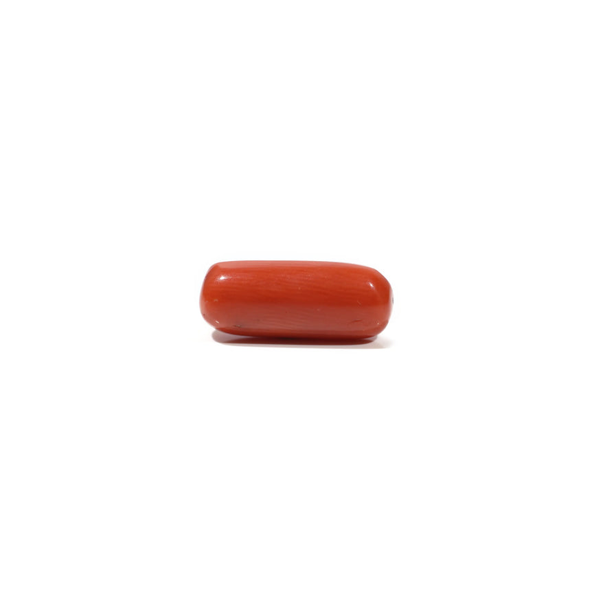 Red Coral - 5.65 Carat - Pramogh