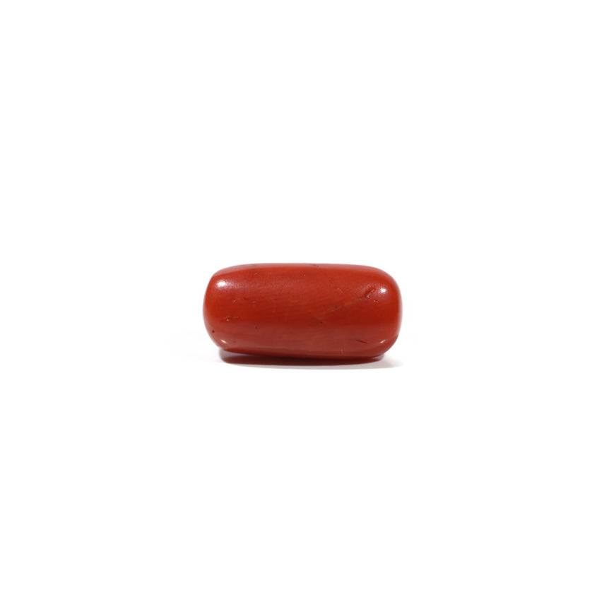 Red Coral - 7 Carat - Pramogh