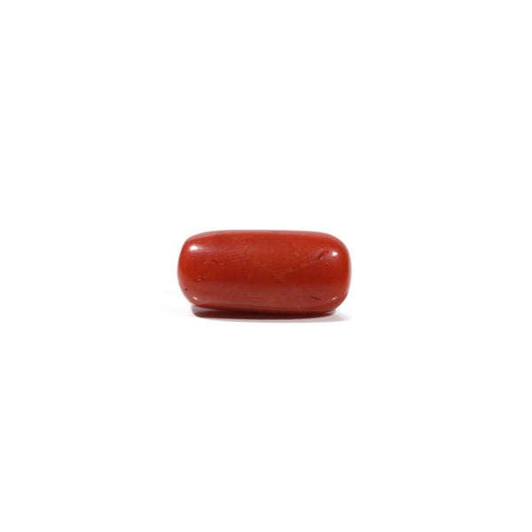 Red Coral - 7 Carat - Pramogh