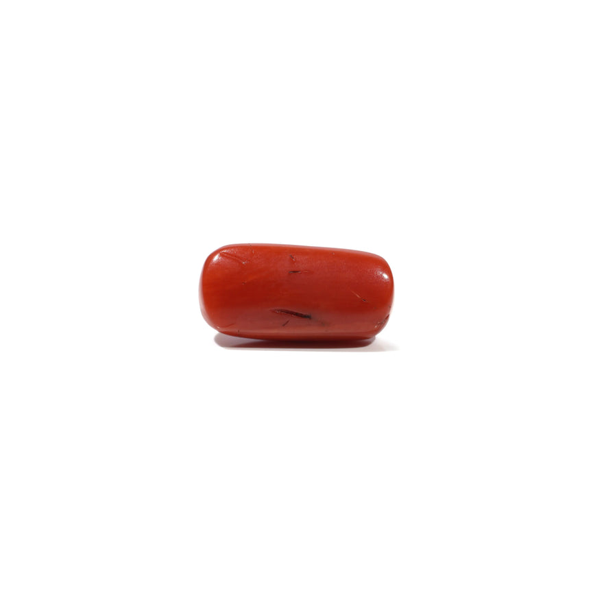Red Coral - 7 Carat