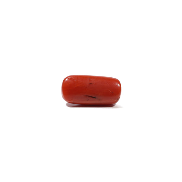 Red Coral - 7 Carat