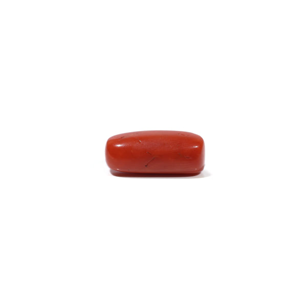 Red Coral - 7 Carat