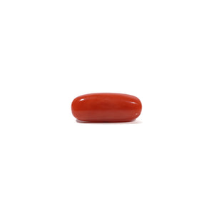Red Coral - 6.9 Carat - Pramogh