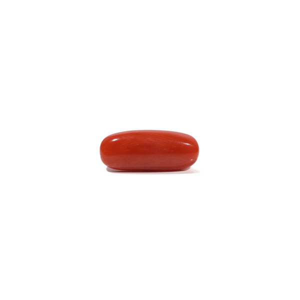 Red Coral - 6.9 Carat - Pramogh