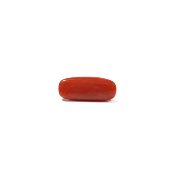 Red Coral - 6.9 Carat