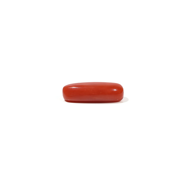 Red Coral - 6.9 Carat