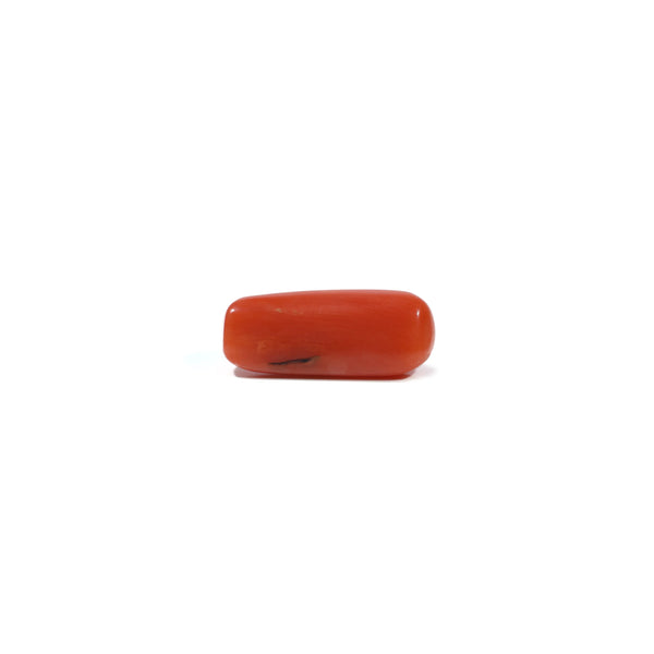 Red Coral - 6.2 Carat