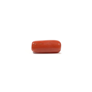 Red Coral - 6.6 Carat - Pramogh