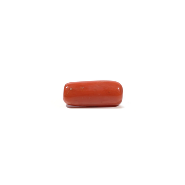 Red Coral - 6.6 Carat - Pramogh