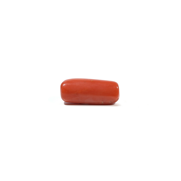 Red Coral - 6.6 Carat